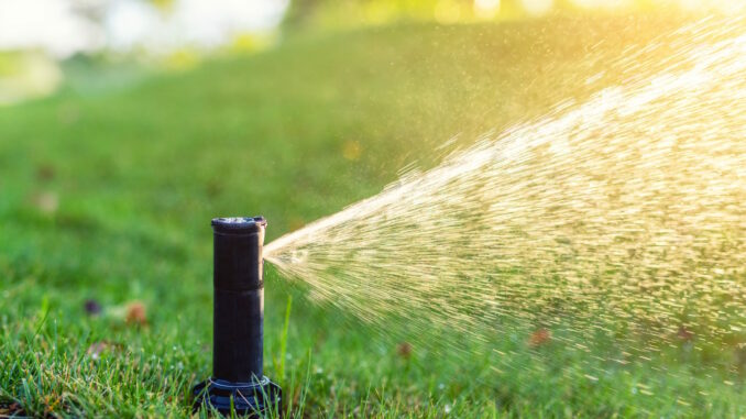 Smarte Gartenbewässerung