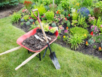 Die richtige Ausrüstung für Ihren Garten