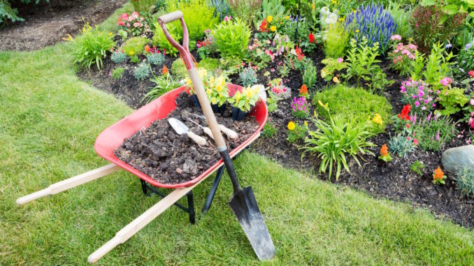 Die richtige Ausrüstung für Ihren Garten
