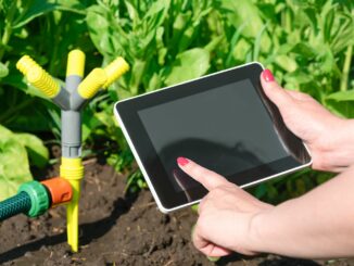 Wasser-Management im Garten: Tipps für effiziente Bewässerung und Landschaftsgestaltung